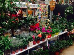 iphone_upload_pic-秦美花卉(天朗·莱茵小城2期店)