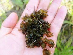 -终南山国家森林公园