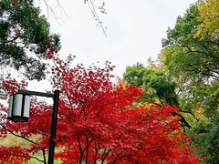 -岳麓山风景名胜区