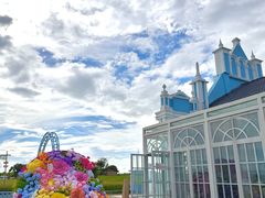 -杭州湾海上花田景区