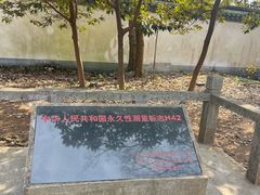 -上海佘山国家森林公园天马山园