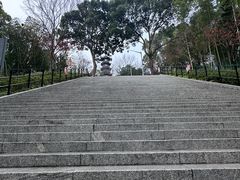 -上海佘山国家森林公园西佘山园