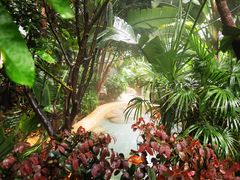 -稷泽·海丽宾雅温泉度假酒店