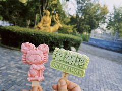 -溱湖国家湿地公园