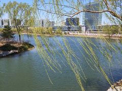 -大兴滨河森林公园