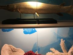 -常州海昌海洋探索馆