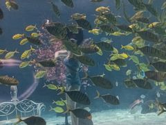 -常州海昌海洋探索馆