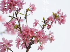 -文华公园(禅城区)