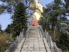 -大金鹰园