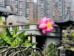 -顺德渔村·岭南一号