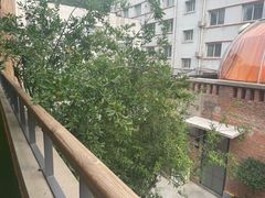 -羊门客在·烤盐池滩羊·川菜