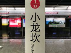 -大龙火锅(老店)