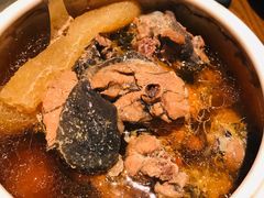 印度椰皇炖老鸽（小鼎）-大鸽饭(岗顶店)
