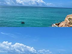 -广东惠东海龟国家级自然保护区