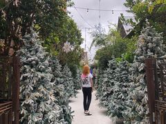 -The Grounds of Alexandria