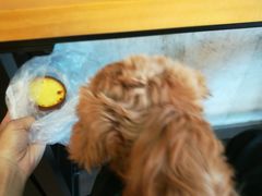 -窑滚面包专门店(马鞍山金鹰店)