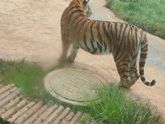 -昆明动物园