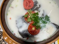 -全乐鱼馆·淳牌有机鱼直营店