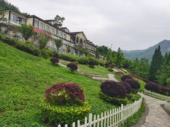 -四川省成都市彭州市白鹿镇