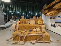 -西双版纳原始森林公园