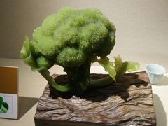 -大连自然博物馆