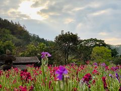 -广东天露山旅游度假区