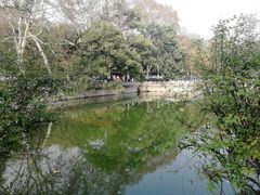 -武汉大学-樱园