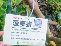-呀路古热带植物园