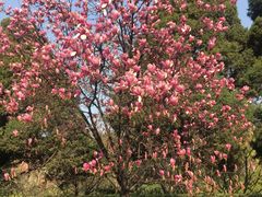 -西安交通大学(雁塔校区)