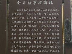 -阳台山自然风景区