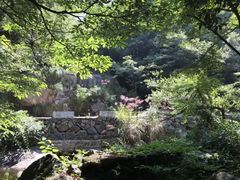 -白云源风景区