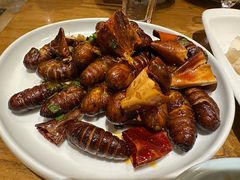 -一轩饺子馆(丽都店)