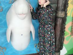 -悉尼海洋生物水族馆