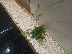-铂诗玥医美