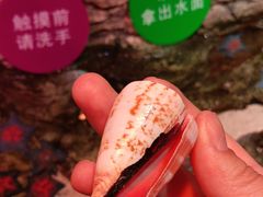 -沈阳海洋探索中心