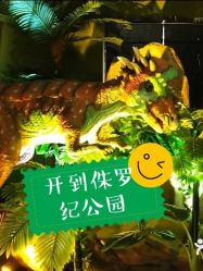 -恐龙探索乐园(磁器口店)