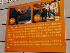 -太原动物园