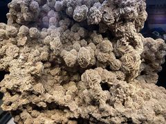-正佳自然科学博物馆