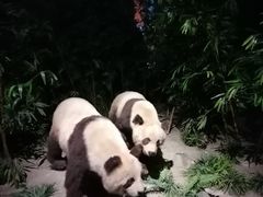 -武汉园博园(武汉自然博物馆)