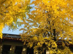 -四川大学(华西校区)