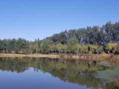 -东郊湿地公园