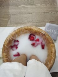 -奥斯芬欧系贵族SPA