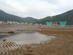 -小皓村