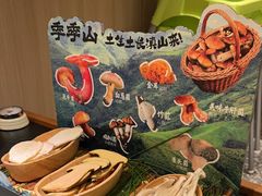 -季季山·云南野生菌火锅(上海首店)