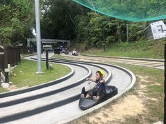 -圣淘沙天际线斜坡滑车