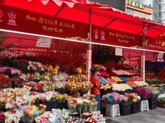 -越秀西湖花市(广州城市广场花卉店)