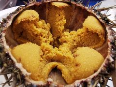 朝鲜大黄胆-HIHE Bistro·Oyster Bar(华熙live店)