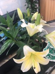 -永琪美容美发全国直营连锁