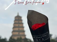 -大慈恩寺(大雁塔)