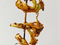 烤菜花-张杨烤菜(渭南总店)